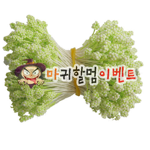 오디씨-꽃수술(라임그린)