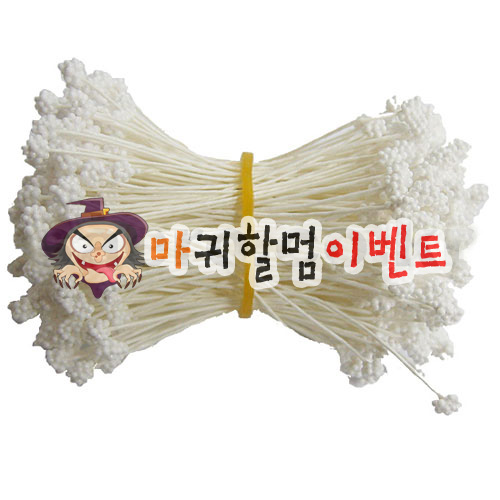 오디씨-꽃수술(화이트)