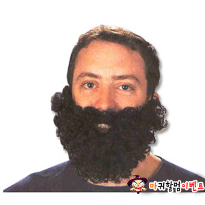 털보아저씨수염