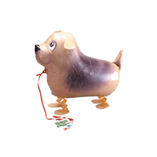 산보풍선테리어