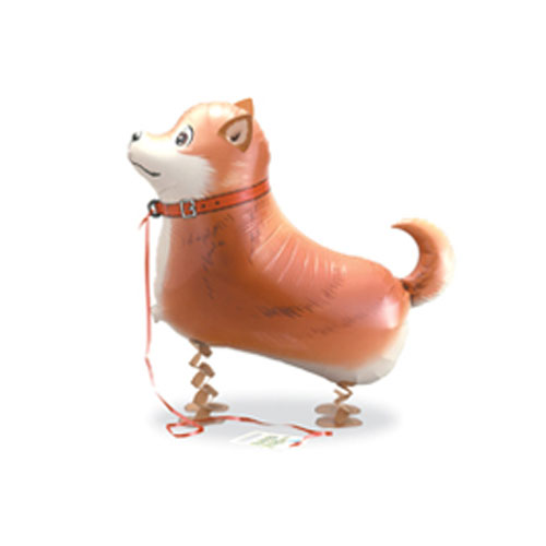 산보풍선진돗개