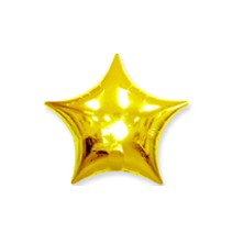 19인치별(메탈골드)