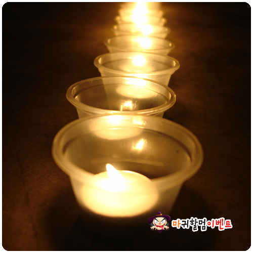 티라이트홀더(100개입)