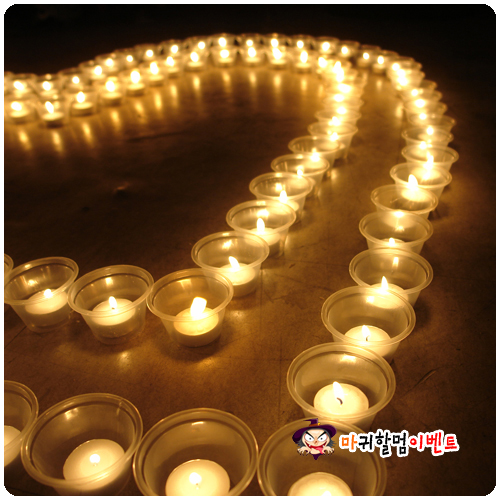 티라이트양초(100개입)-투명홀더포함