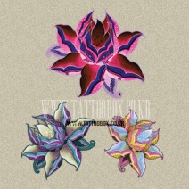 패션타투 (디자인16)