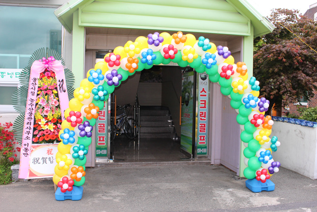 화려한 꽃아치 (예쁜풍선아치 출장장식)