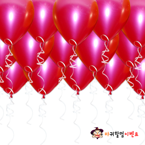 헬륨풍선-펄푸치샤(50개무료배달)