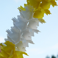 페이퍼 가랜드 (옐로우&화이트)