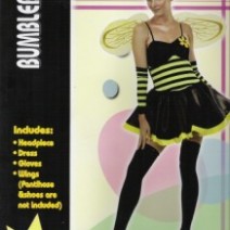 섹시벌의상(대여)