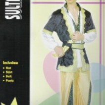 아라비안의상-남성용(대여)