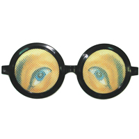 눈그림바보안경