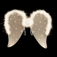 흰색별무늬천사날개