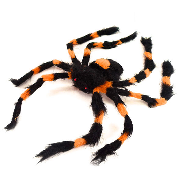 모형왕거미(오렌지)