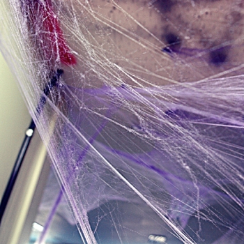 할로윈 거미줄(퍼플)