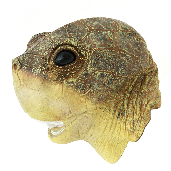 거북이가면