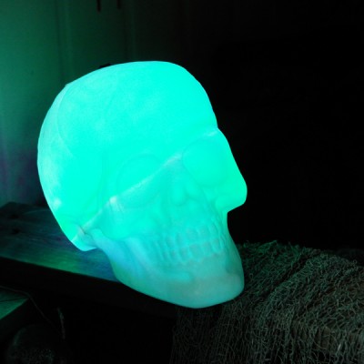 플라스틱 해골점등모형