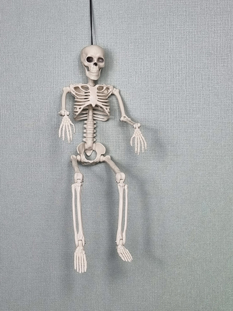 구체관절 스켈레톤 40Cm