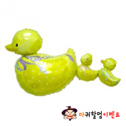 대형은박 (세마리오리)