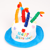 생일케익모자(블루)