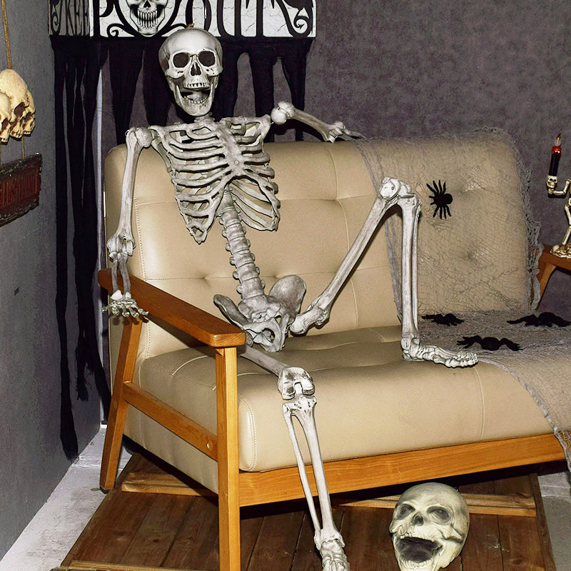 전신 스켈레톤 1.7m