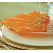 종이테이블매트-대 (27Cm*12장)