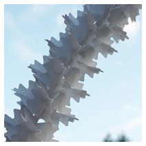 페이퍼 가랜드 (화이트)