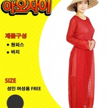 아오자이의상